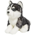 Peluche Chien Pomsky